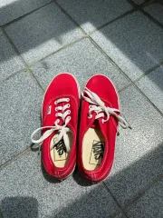 VANS 靴
