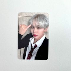 Stray Kids カード バンチャン IN生 Apple Music - メルカリ