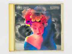 CD 未開封 ヒビアリ Park Yong Ha / パク・ヨンハ / 君が最高！ 帯付き