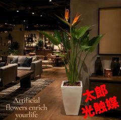 光触媒 人工観葉植物 ウォールグリーン フェイクグリーン ブラッサイア