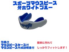 GRIT BIG MITT KICK SHIELD キックミット - メルカリ