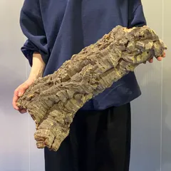 2026年最新】コルク樹皮 キャノンの人気アイテム - メルカリ