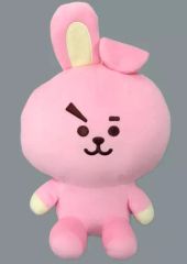 JUNGKOOK / BTS ジョングク CKJK ぬいぐるみ服10cm - メルカリ