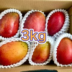 宮古島産 超特大摘果マンゴー 9.8kg - メルカリ