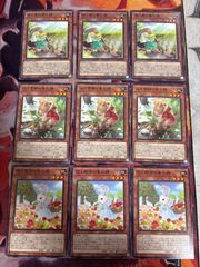 遊戯王ラッシュデュエル ベリーフレッシュ デッキパーツ 21枚セット