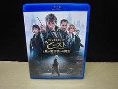 [Blu-ray+DVD] 환상적인 비스트와 검은 마법사의 탄생