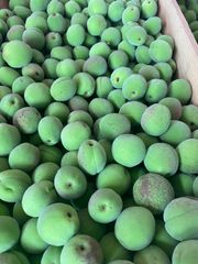 青森県産中玉豊後梅箱込み10キロ - メルカリ