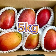 沖縄産摘果マンゴー15キロXoài xanh20〜250g - メルカリ