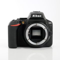 美品】Nikon D5500レンズ2本セット【価格交渉可】 - メルカリ