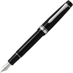 PILOT カスタムヘリテイジ91 MF-nib（中細字）ヤマブドウ - メルカリ