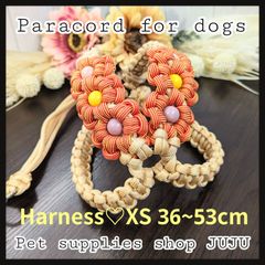 即購入可☆パラコード ハーネス 36〜53cm【XS】(オーダー可能)調整可能