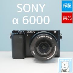 美品 Sony ソニー α6300 SELP1650 パワーズームキット - メルカリ