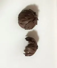 ねんどろいど 茶色 ヘアパーツ