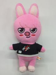 StrayKids SKZOO DWAEKKI チャンビン まとめ売り Skzoo Dwaekki - チャンビン Kpop от Stray Kids - Etsy 日本