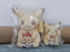 ポケットモンスター 30周年 ピカチュウ ぬいぐるみ (中型+キーホルダー)