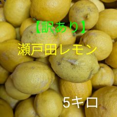 農薬不使用）広島県産レモン箱込み約5キロ（農家直送） - メルカリ