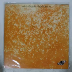 国内盤 MICHAEL FRANKS/SLEEPING GYPSY/WARNER BROS. P10306W LP
