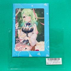 新品未開封 富士浅間堂 抱き枕カバー カナリィ ポケモンレジェンズZ-A