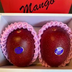 訳あり】宮崎完熟マンゴー 16玉 約3.6kg - メルカリ