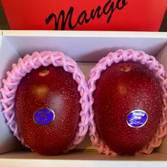 宮崎　完熟　マンゴー　4L   2玉入り　約1k  化粧箱　※冷蔵発送※のサムネイル