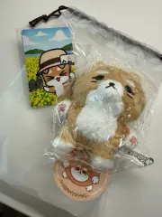 2026年最新】got7 ジニョン ぬいぐるみの人気アイテム - メルカリ