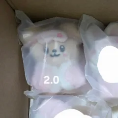 SKZOO Stray Kids(ストレイキッズ・スキズ・SKZ) PuppyM パピーム IN ぬいぐるみ