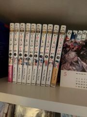 文豪ストレイドッグス 原作全巻+各種スピンオフ作品+オマケ 合計49冊