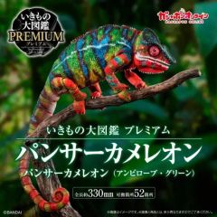 新品未使用いきもの大図鑑プレミアム パンサーカメレオン アンビローブ