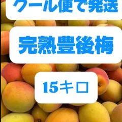 完熟豊後梅，15キロ箱込み(クール便発送)