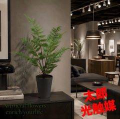 光触媒 人工観葉植物 ウォールグリーン フェイクグリーン ボストン