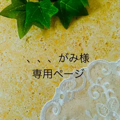 、、、がみ様専用ページ