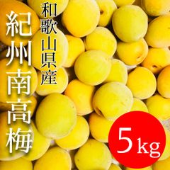 和歌山県産 完熟南高梅‼️L〜2L混合‼️5kg みかんキング 家庭用