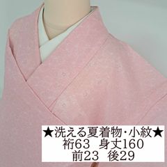 wiwi様専用です❣️ 【着物と帯 時流】SK48ys◇洗える 土日購入分