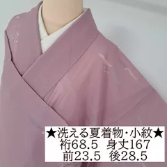 【洗える夏着物・絽・小紋】裄68.5 身丈167 袖49　化繊　夏物　盛夏　赤紫系地に抽象的な植物柄　る15S02aのサムネイル