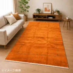 【イラン直輸入】 ハイクオリティ ギャッベ　大判 【特価】リビングなどに最適のサムネイル