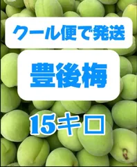 豊後梅，青梅，15キロ箱込み，6月下旬から順次発送予定