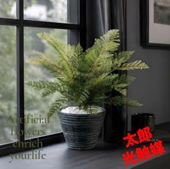 光触媒 人工観葉植物 ウォールグリーン フェイクグリーン フェザー 