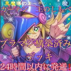 遊戯王 E・HERO バーストレディ 絵違い イラスト違い 25th 2枚 - メルカリ
