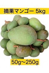 宮崎県産摘果マンゴー グリーンマンゴー 4kg - メルカリ