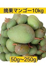 沖縄 摘果マンゴー グリーンマンゴー 14kg - メルカリ