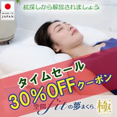 専用枕カバー付き  夢枕 極 空間フィットの夢まくら 極 FLEFIMA ビーズ枕 安眠枕 いびき 防止 洗える