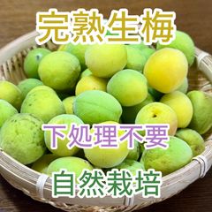 【希少品種】稲積梅 3kg 青梅 栽培期間中農薬不使用 梅酒・梅シロップ・梅干し 大粒希少品種】稲積梅 3kg 栽培期間中農薬不使用 梅酒·梅シロップ