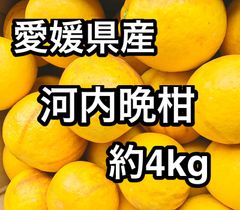 0841【秀品】特大4L2kg 梅干し用完熟南高梅 キルトパッチ梅店 - メルカリ