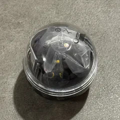 ポケットモンスター 30周年 ガチャ (言うことを聞かない) ブラッキー 未開封 新品