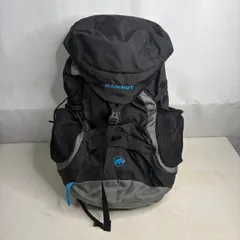 ●マムート リュック COREON ELEMENT 20 メンズ Mammutのサムネイル
