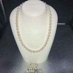 美品 vca 蝶モチーフ 白貝ペンダントネックレス 専用ケース付き - メルカリ