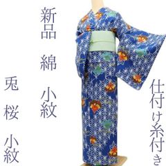 ❁tomihisa❁新品 絽 五泉 お仕立て上がり品 手描き友禅 夏着物“染め