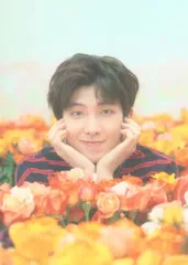 BTS LOVE YOURSELF JAPAN EDITION RM ミニフォトカード 4/8