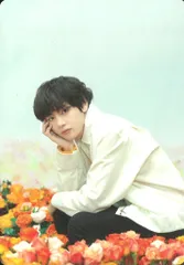 BTS 2018 LOVE YOURSELF JAPAN EDITION V ミニフォトカード 1/8