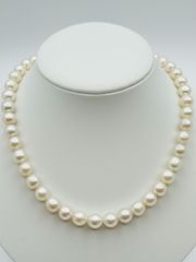SV白蝶真珠ネックレス 9.6～14.1mm 中古品 - メルカリ